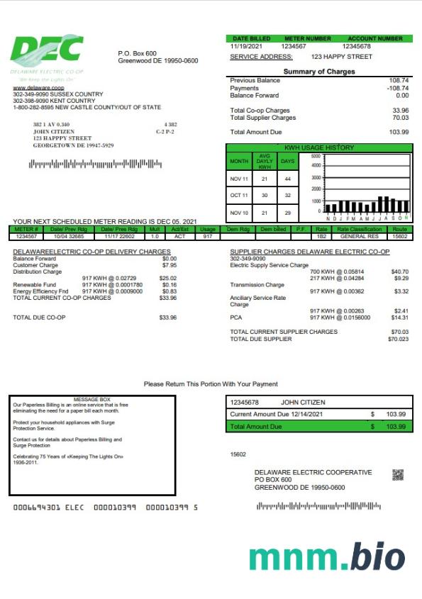 USA Delaware Electric Co-op rachunek za media szablon w formacie Word i PDF